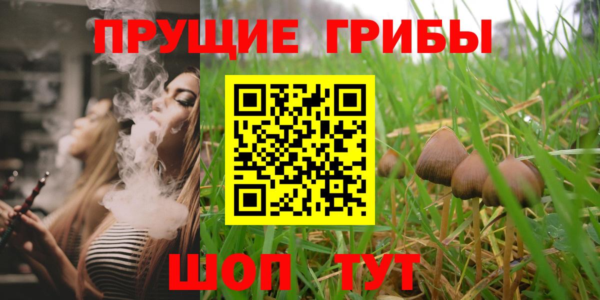 Галлюциногенные грибы прущие грибы Калуга